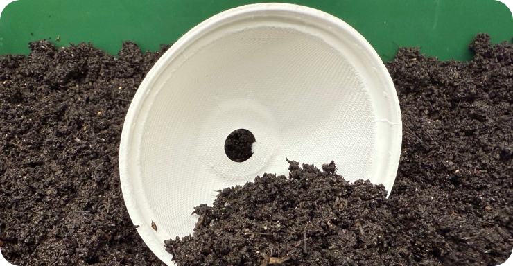 biodegradation